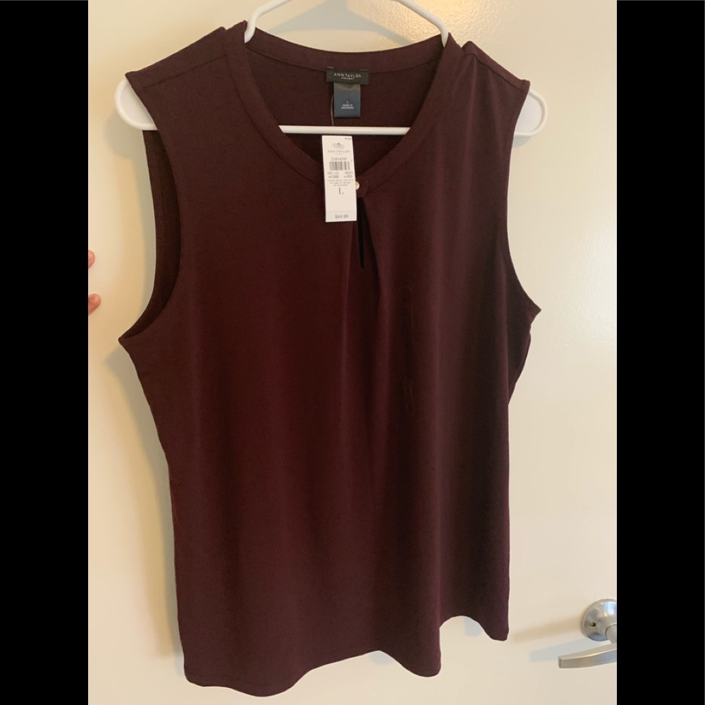 Ann Taylor new